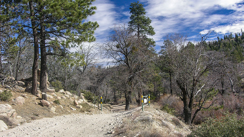 Pilot Rock Road