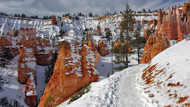 Bryce Canyon in the Snow