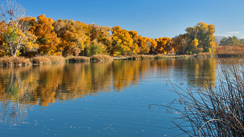 Mojave Narrows