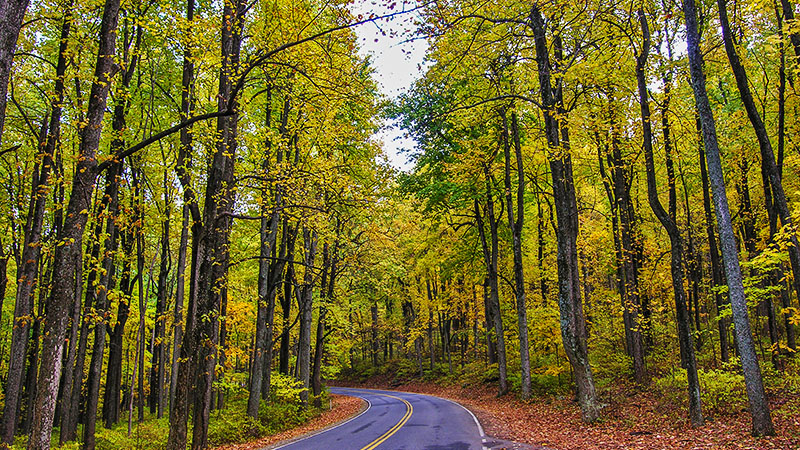 Virginia Back Roads