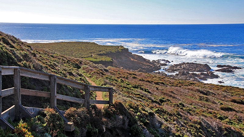 A hiking trail at Garrapata State Park