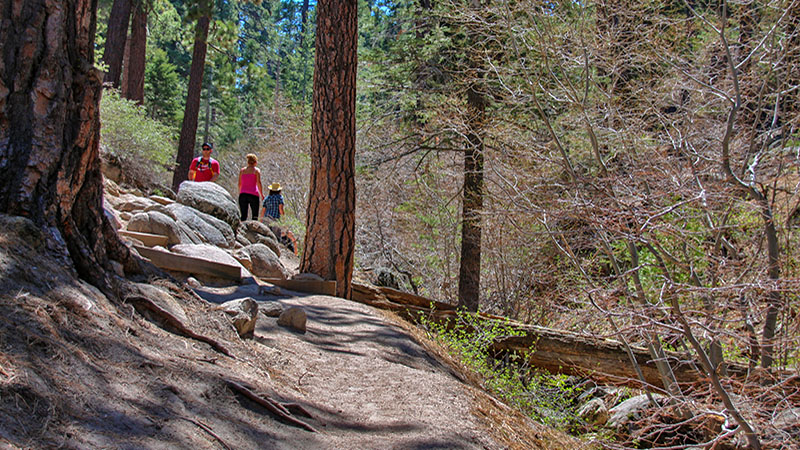 The beginning of the Castle Rock trail