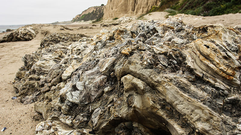 Sculptured Beach