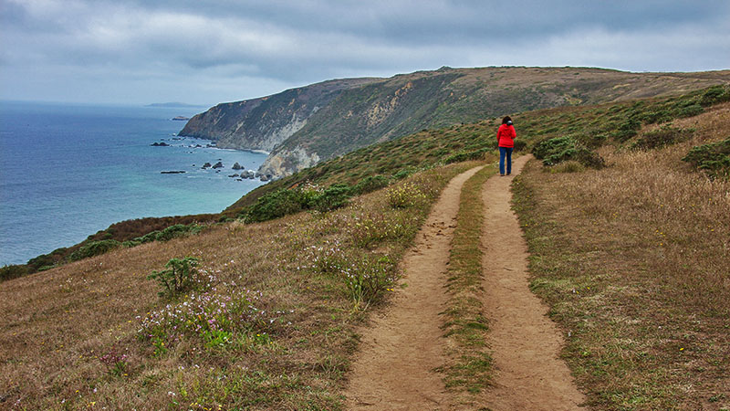 Point Reyes Area