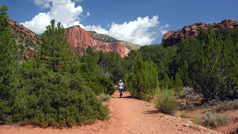 Taylor Creek Hike in Zion