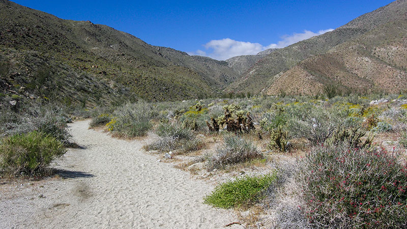 Hellhole Canyon Hike to Maidenhair Falls