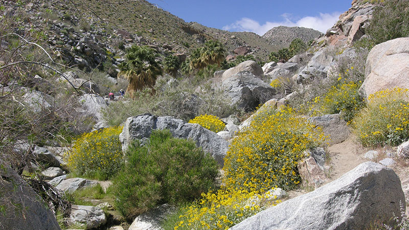 Hellhole Canyon Hike to Maidenhair Falls