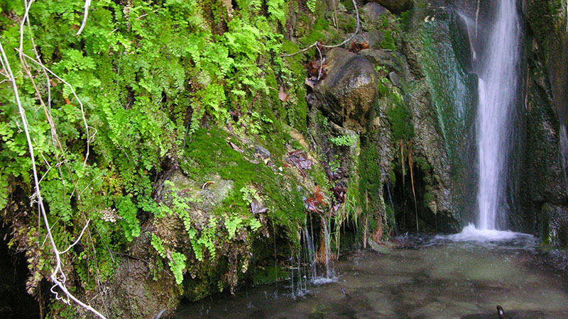 Hellhole Canyon Hike to Maidenhair Falls