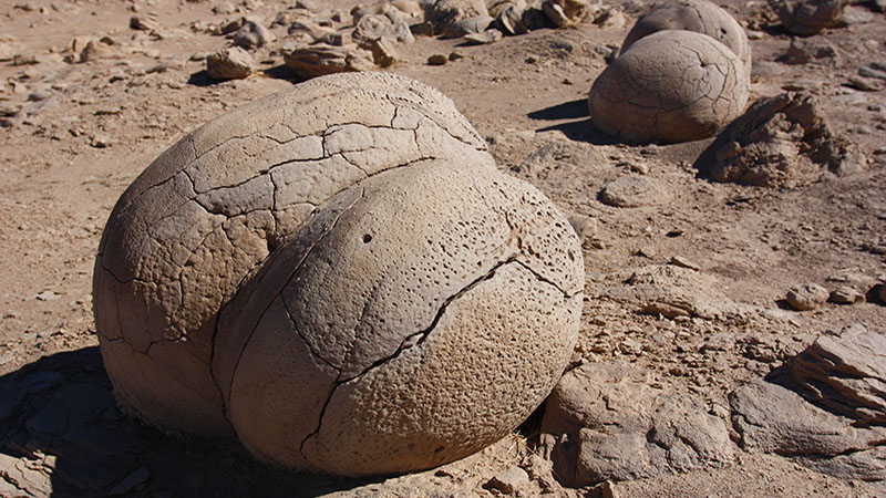 Pumpkin Patch – Anza-Borrego