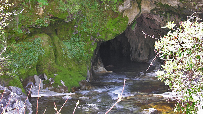 Entrance to Natural Bridges