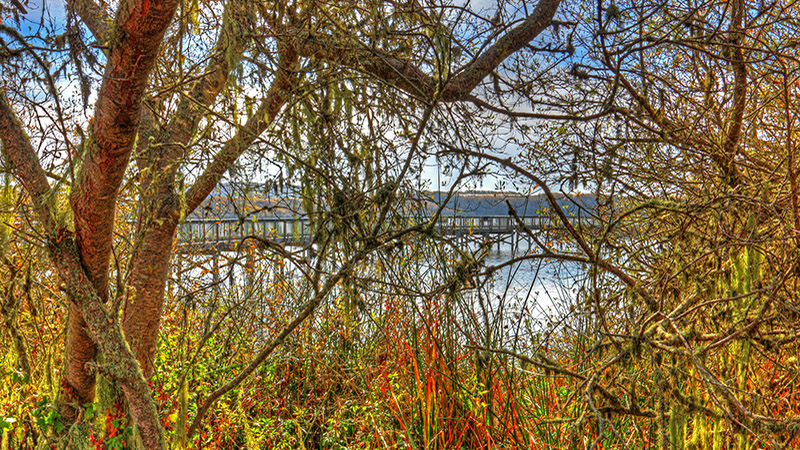 Oso Flaco Lake near Pismo Beach