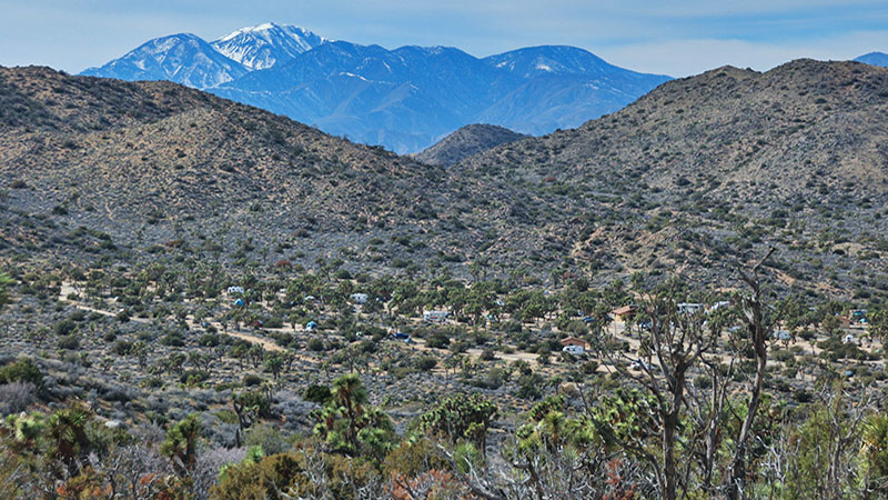 Black Rock Area in Joshua Tree