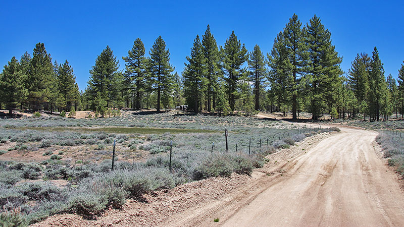 Holcomb Valley near Big Bear