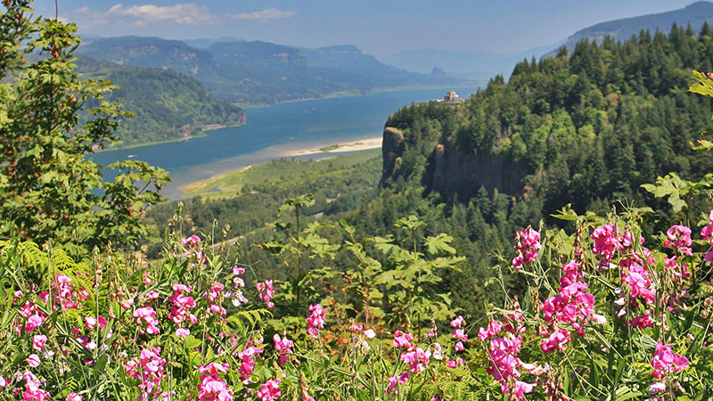 Columbia Gorge