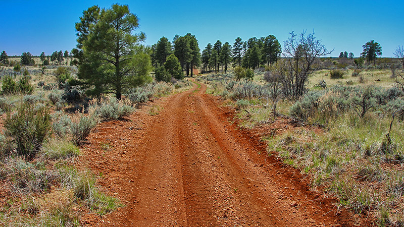 Twin Point: Little Known Overlook of the Grand Canyon