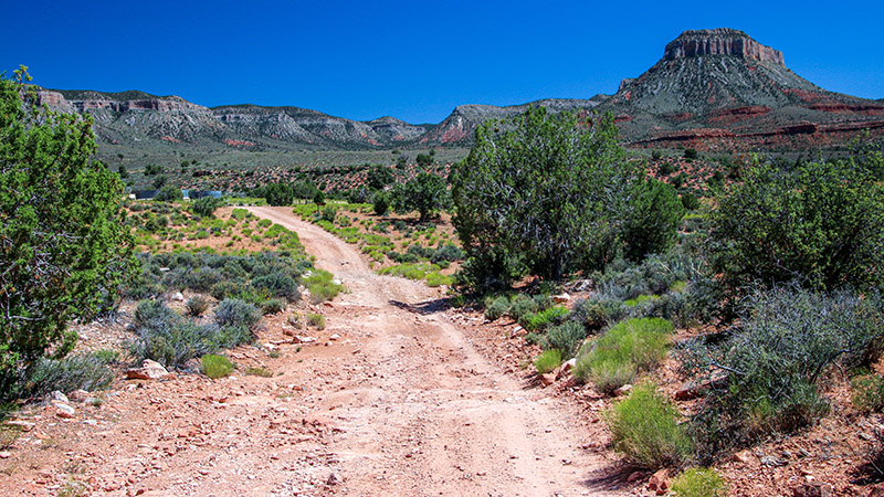 Road to the Grand Gulch Mine