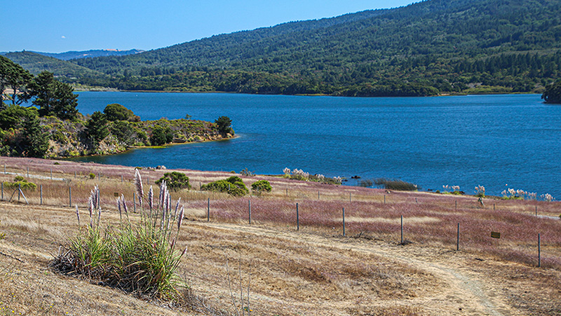 Crystal Springs Reservoir