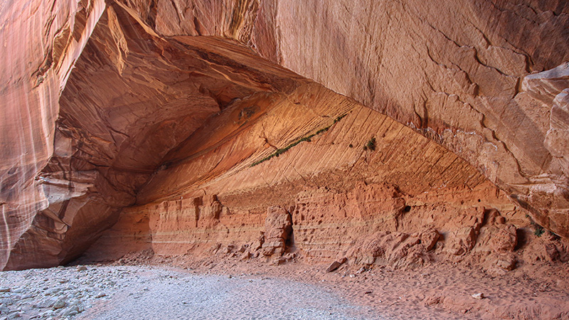 The large alcove