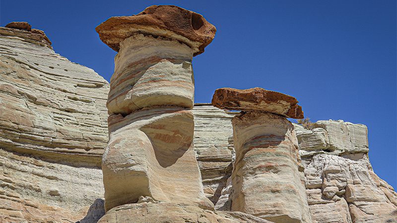 The toadstools of the White Rocks area