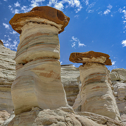 Toadstools