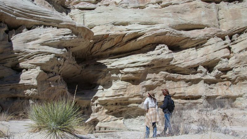 Entrada sandstone crossbedding