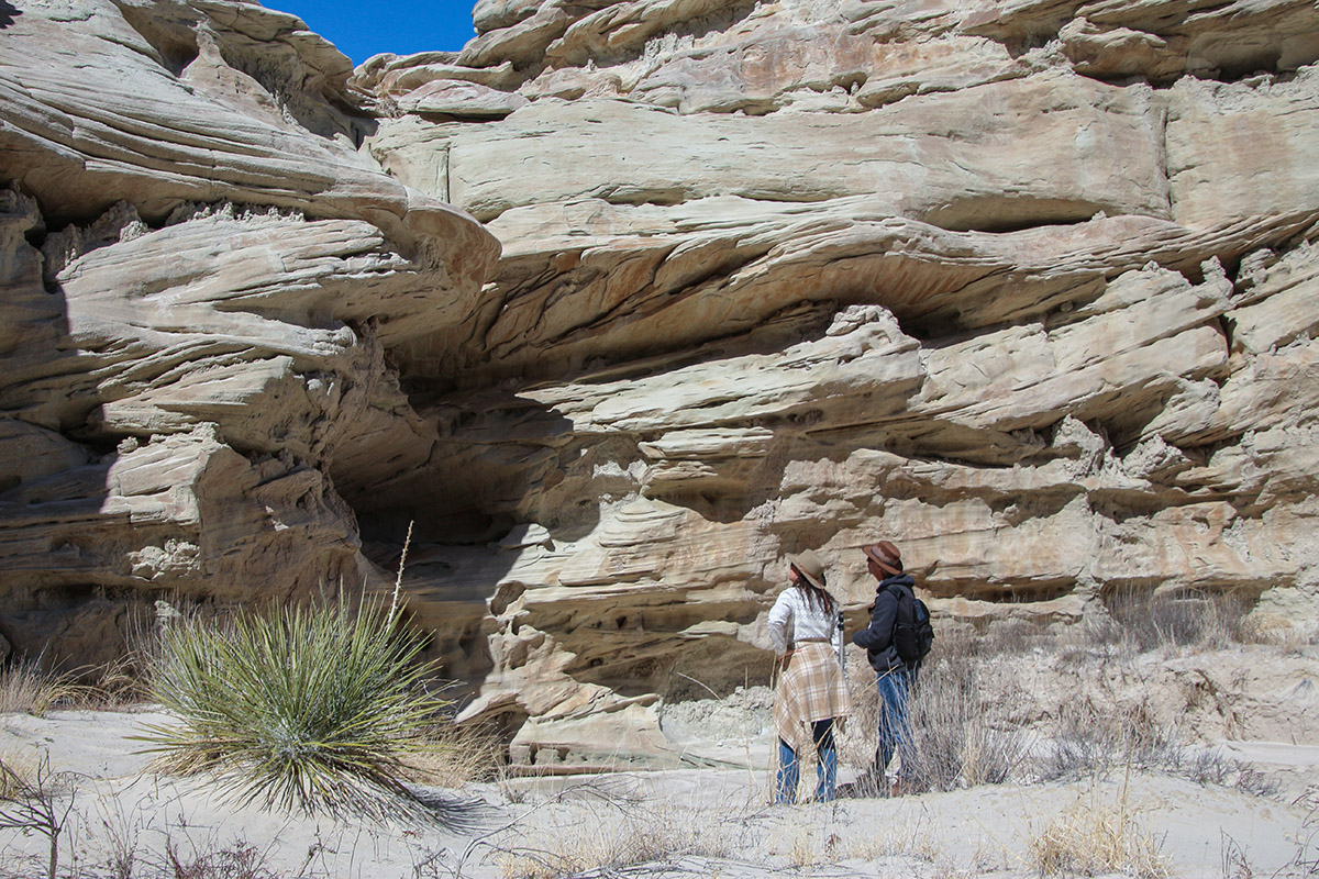 Entrada sandstone crossbedding