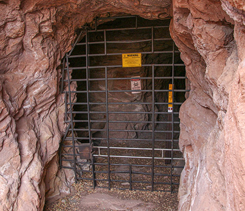 Mine Tour (Inside) at Silver Reef