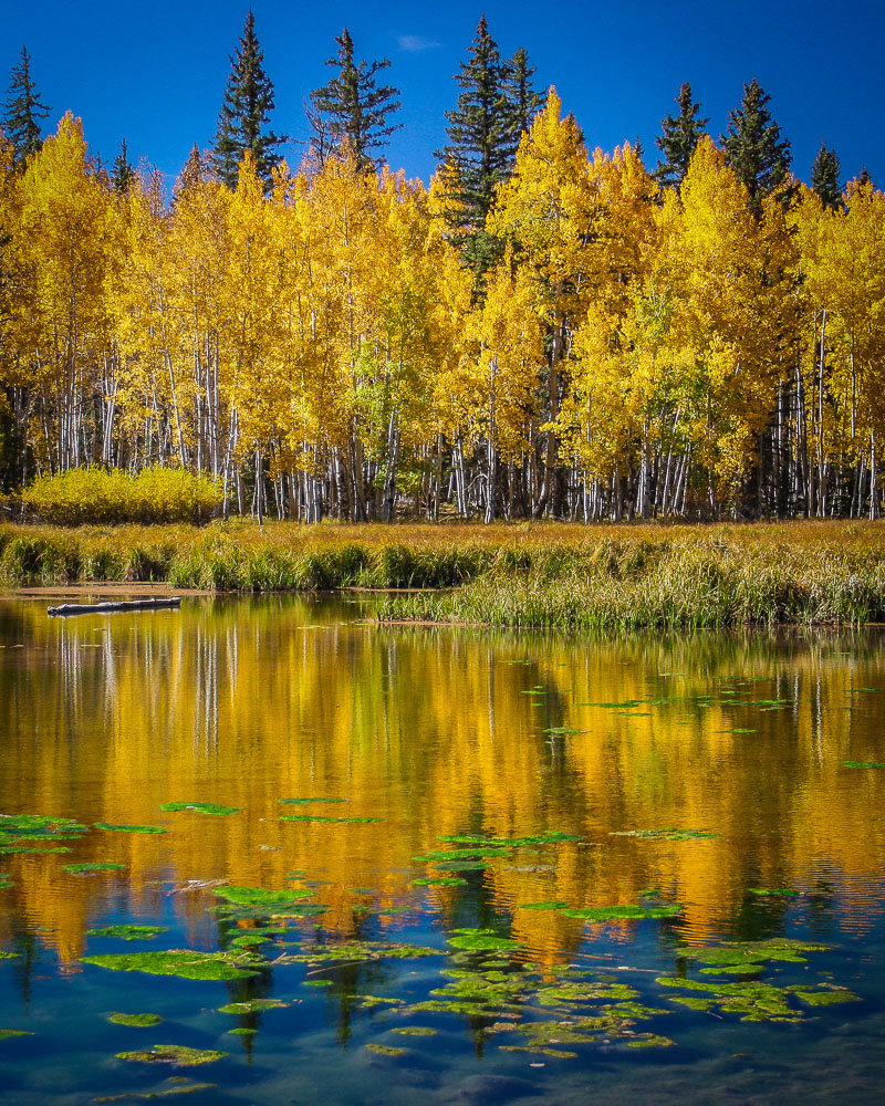 Aspen Mirror Lake 8x10-ib-IMG_6962-2-001