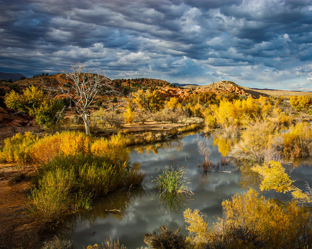 Gunlock Afternoon 8x10-ib-IMG_2508-2-001