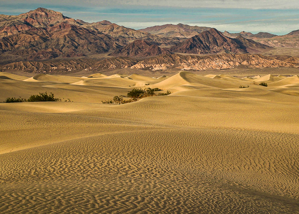 StockDVMesquite Flat Sand Dunes 1 2x3-ib-img0173-2-001