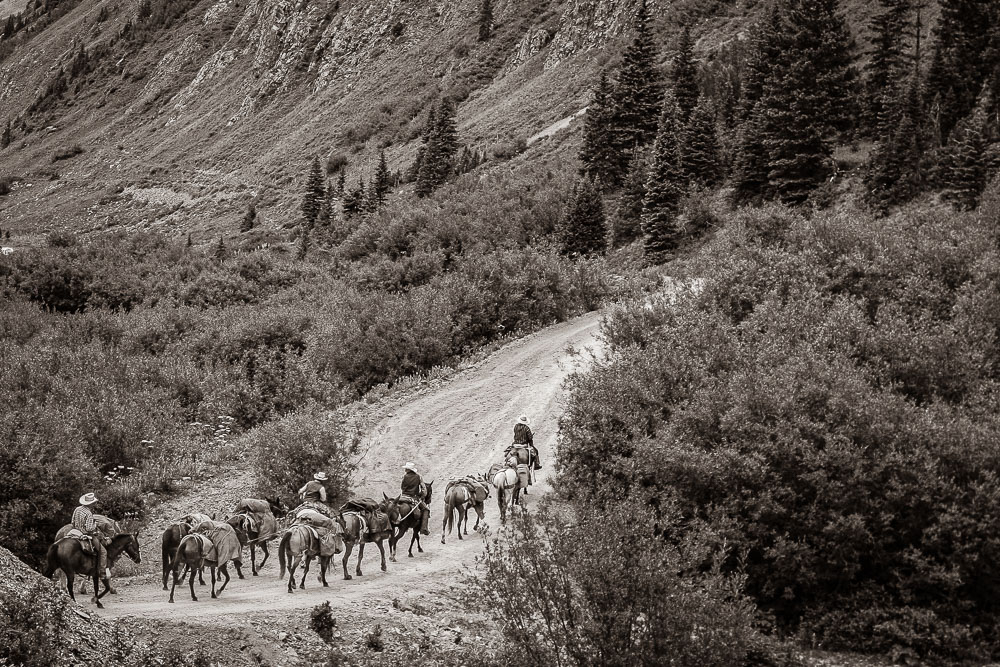 Sepia Pack Train 1 2x3-ib-IMG_9701-001