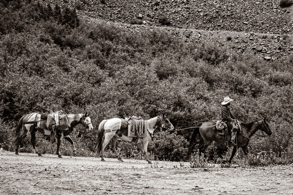 Sepia Pack Train 2 2x3-ib-IMG_9699-001 - Copy