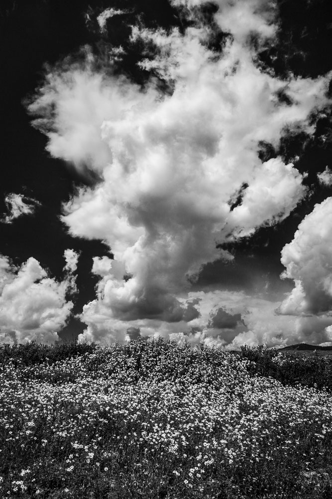 Spring Storm Clouds 16x24-ib-IMG_3819-Edit-2-001