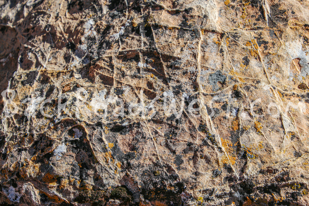 Sandstone canyon wall in Zion National Park