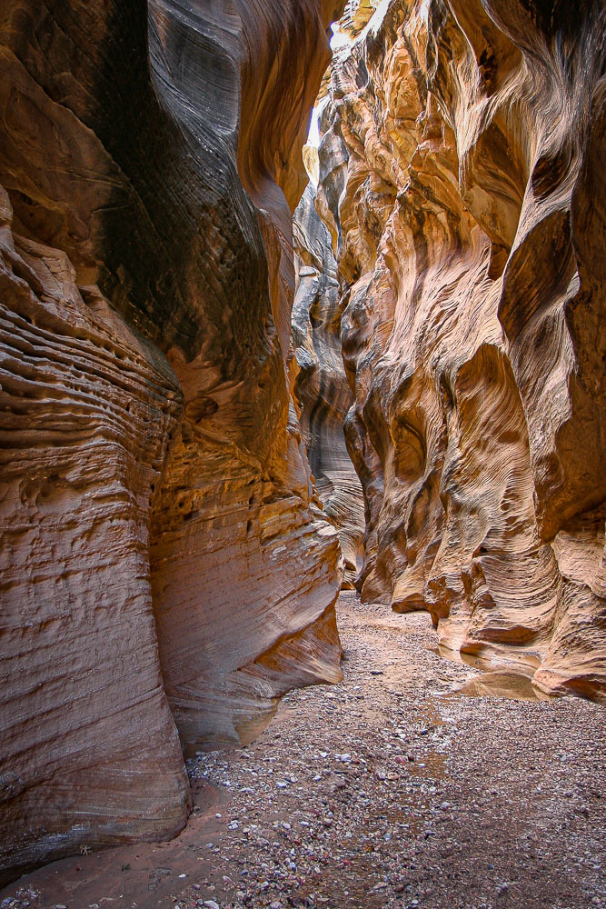 Willis Canyon 1 16 x 24-ib-141_4130-001