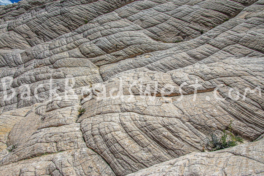 White Navajo Sandstone in Snow Canyon Utah