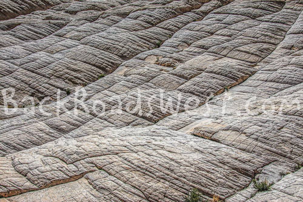 White Navajo Sandstone in Snow Canyon Utah