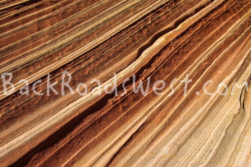 The Wave: Angled Grooves of Sandstone