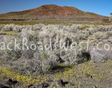 StockMojave-ib-IMG_8025-001