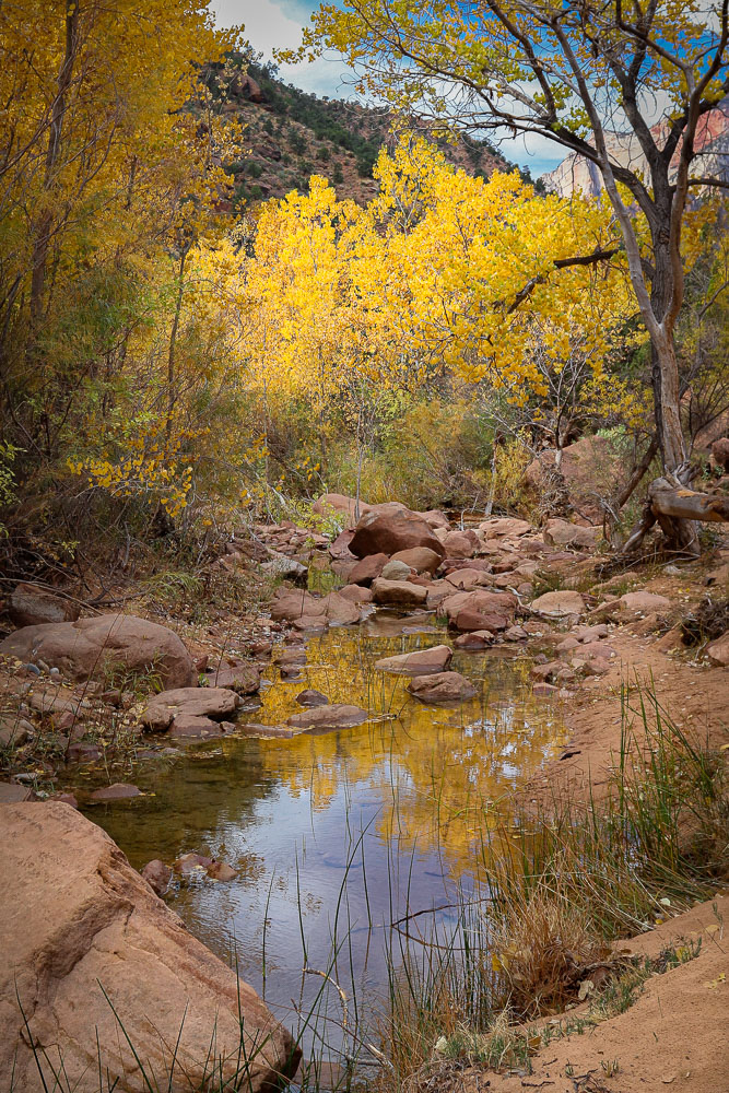 Autumn Reflections 2x3-ib-IMG_3005-Edit-001