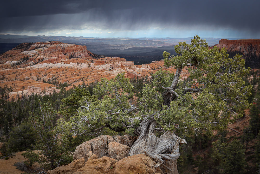 Bryce Storm 2 x 3-ib-IMG_8478-Edit-2-001