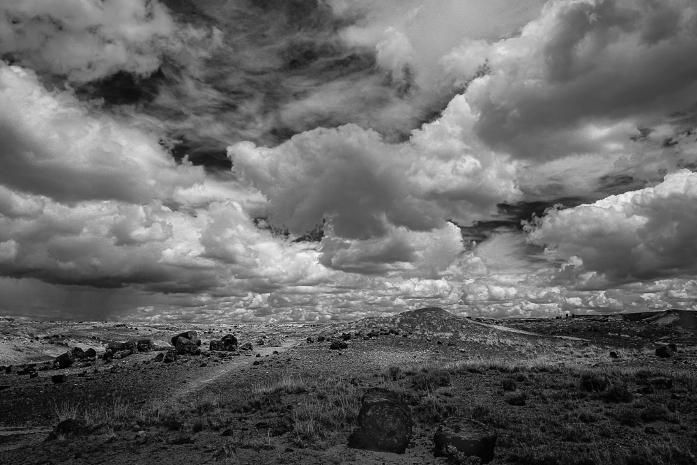 Incoming Storm b&w 2 x 3-ib-IMG_8349-001