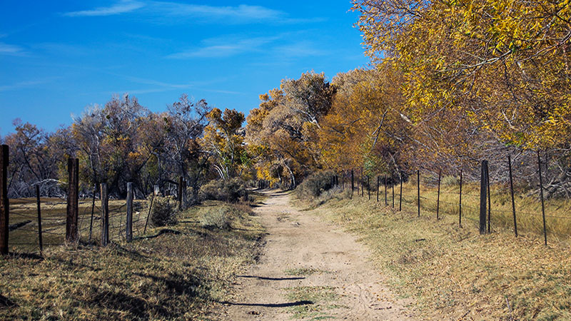 Walking Around the Mojave Narrows | BackRoadsWest Trips Blog